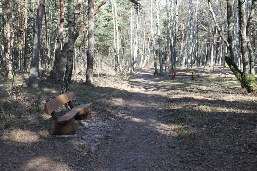 Studio Pluke Palanga Exterior foto